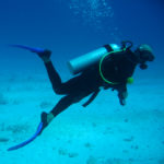 Why scuba diving is the best sport