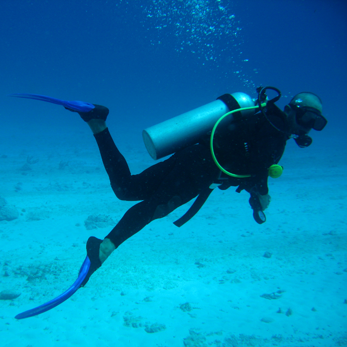 Why scuba diving is the best sport