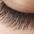 Lashes that are thick and full