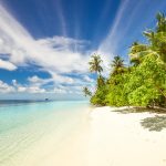 Visit Maalaea Harbor Maui, HI