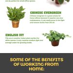 Ideas to Design Your Home Office For Maximum Productivity Ideas to Design Your Home Office For Maximum Productivity