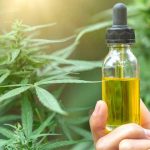 CBD Oils: A Revolutionary Invention