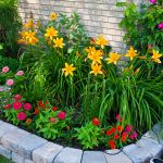 Tips to Create Perfect Flower Beds for Your Landscape