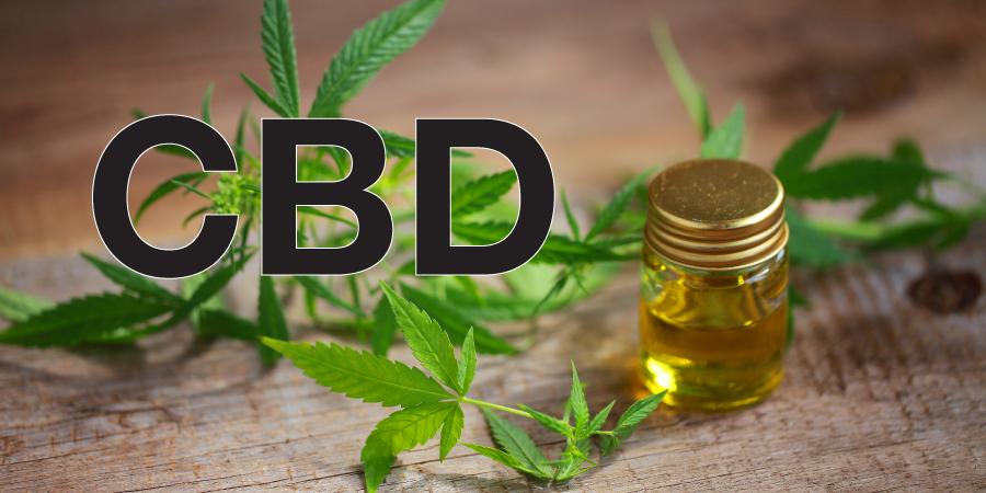 Implementing CBD Into Your Routine