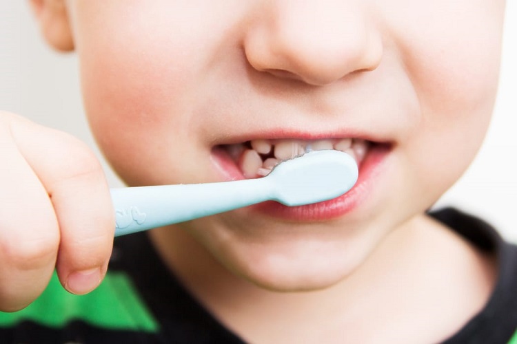 Teaching Correct Oral Hygiene To Your Children