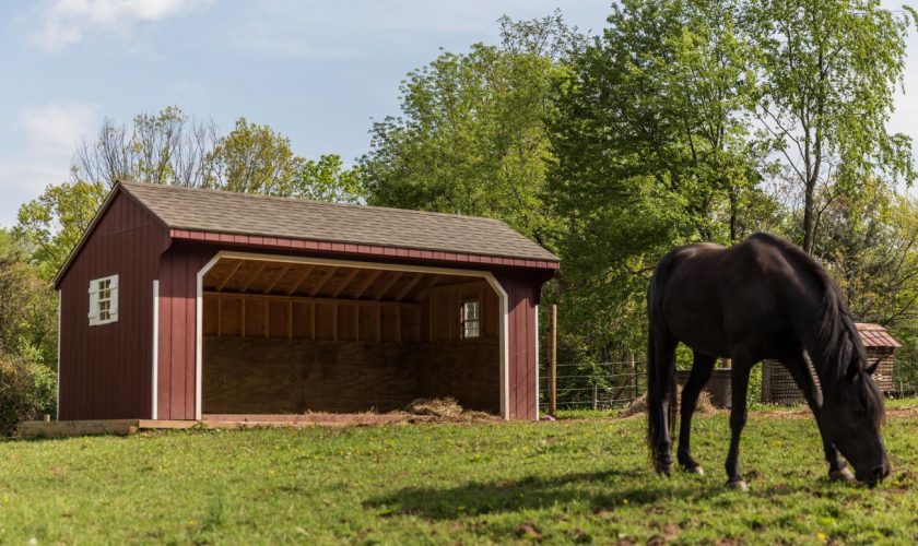 Pros and Cons of Building Horse Sheds