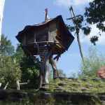 How to Build a Cool Treehouse and Treehouse Ideas