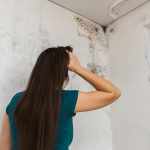 Harmful or Harmless: The Different Types of Mold Explained
