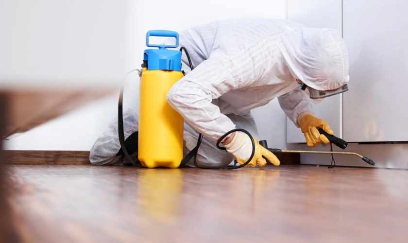 Four Types of Pest Control Services