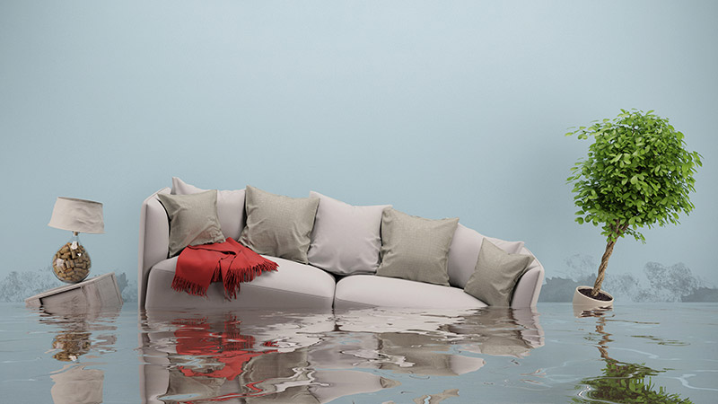 How water damage can affect your home